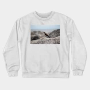 Bird On A Rock By The Sea Crewneck Sweatshirt